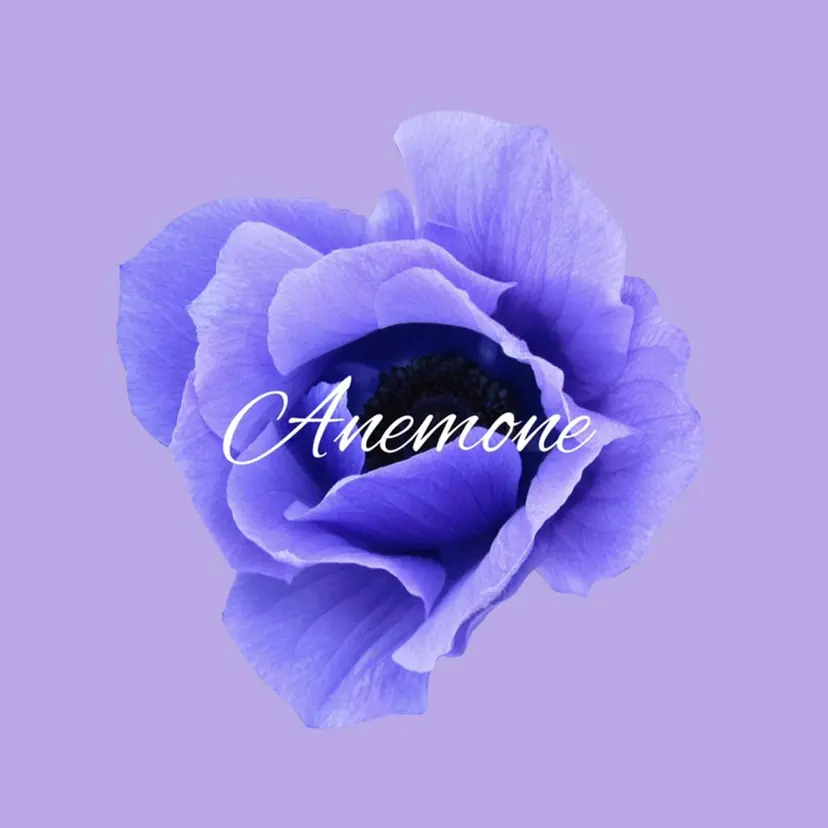 眉毛アイブロウ専門店 Anemoneの掲載