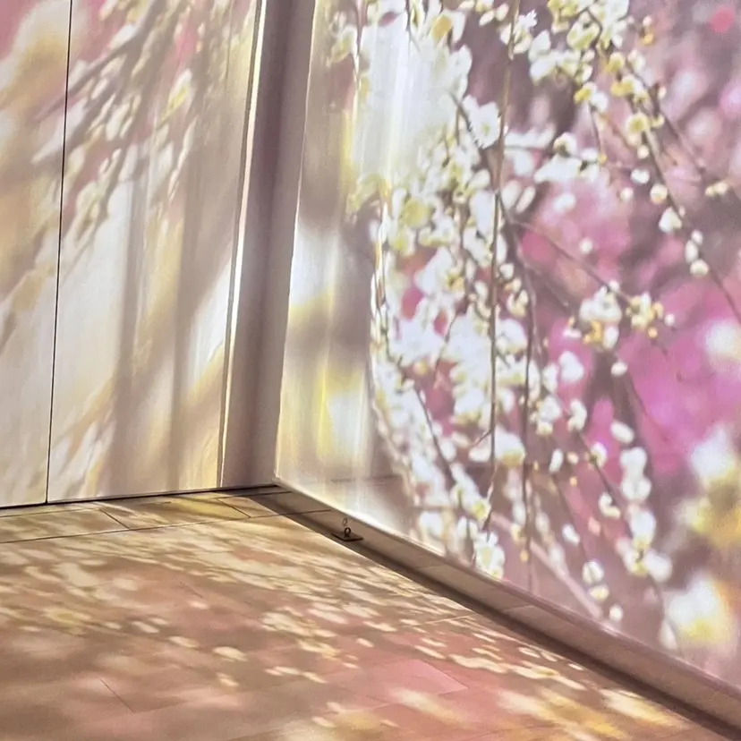 井上 彩加の掲載