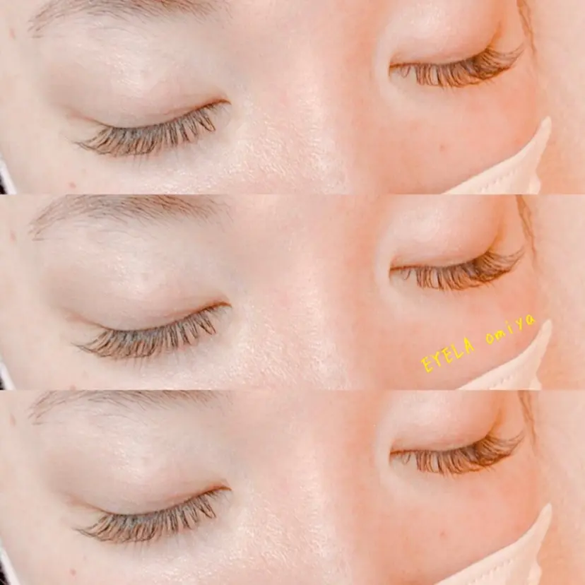 渡部 範子の掲載