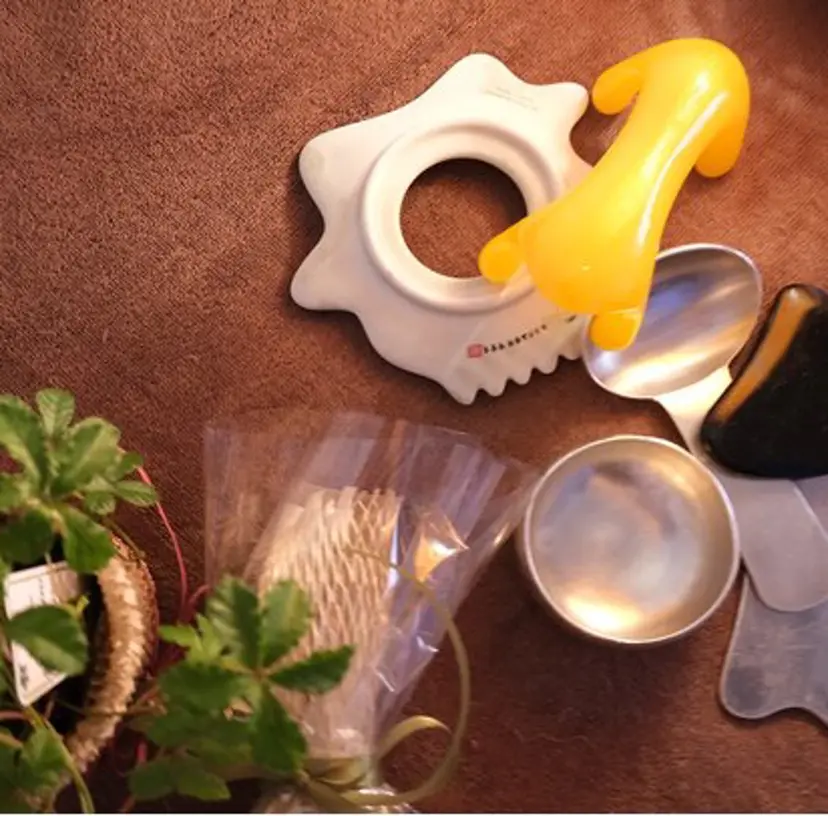 ヨリ ミカの掲載