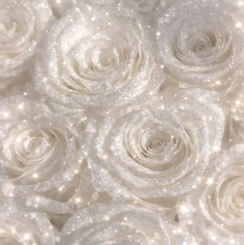 鴛海 香帆の掲載