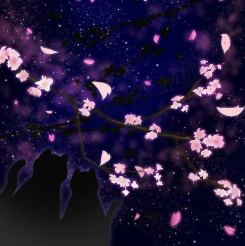 伊藤 未紗希の掲載