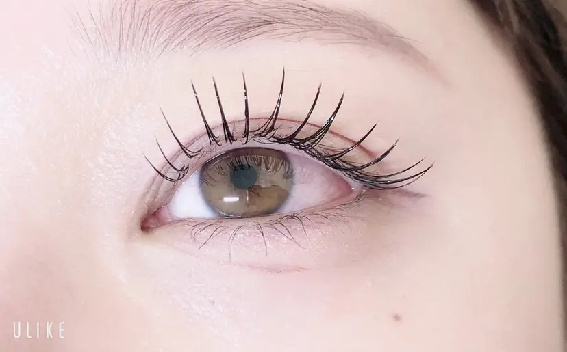 Matsumoto Rikaの掲載