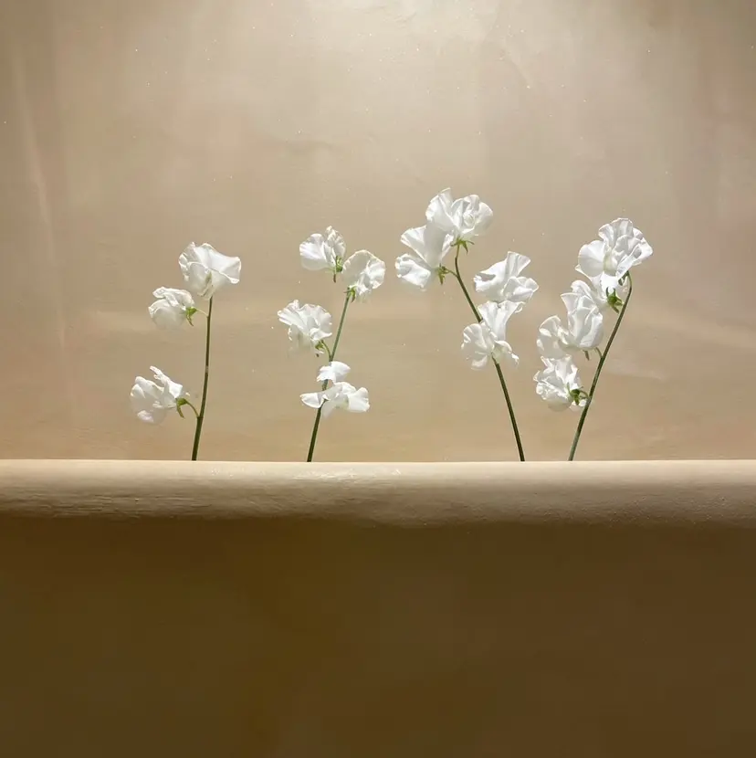 期間限定モデル募集* 【平尾高宮】黒田樹里の掲載