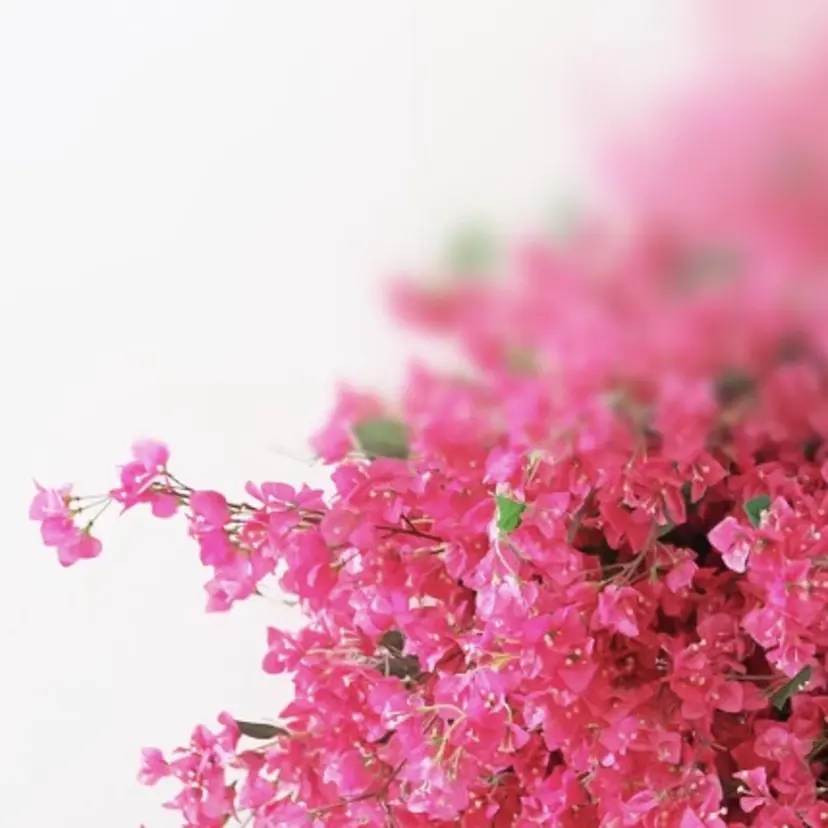 新宿kanau YUMIの掲載