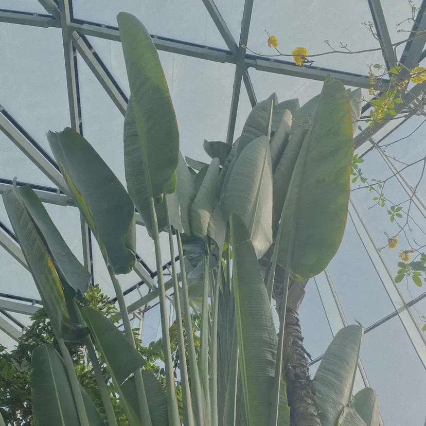 ニュアンスヘア🌔 nanakoの掲載