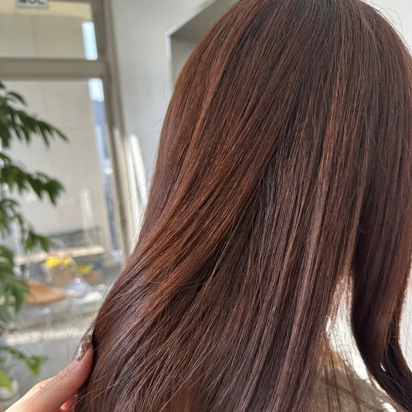  ︎︎ ここねの掲載