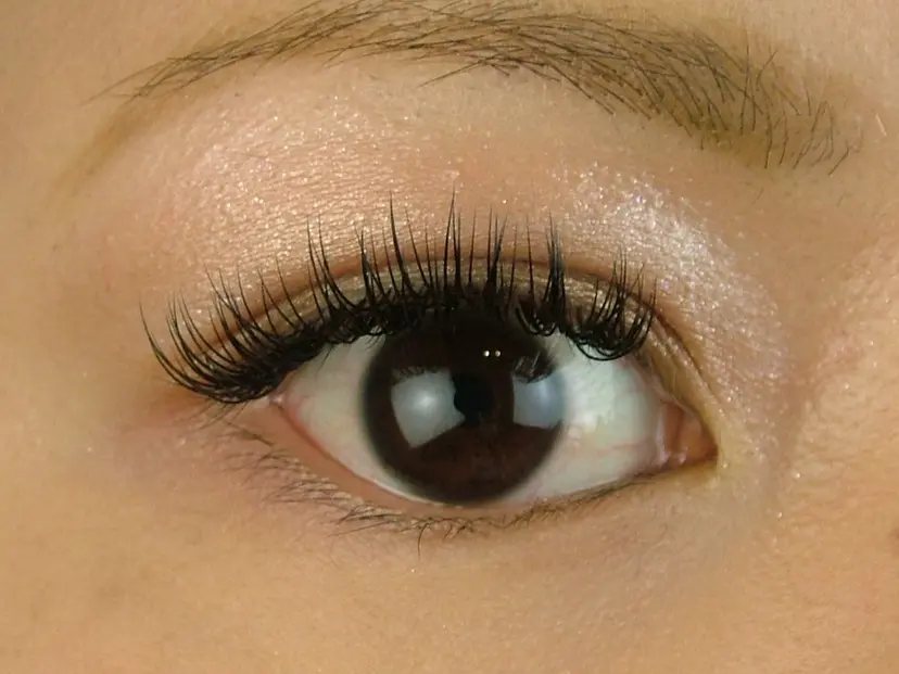 秋山 チカの掲載