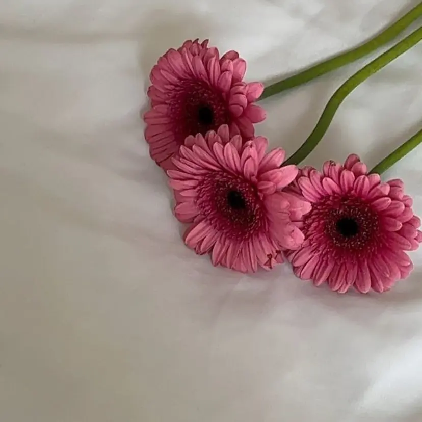 Luuna高岳 🌼hikaruの掲載