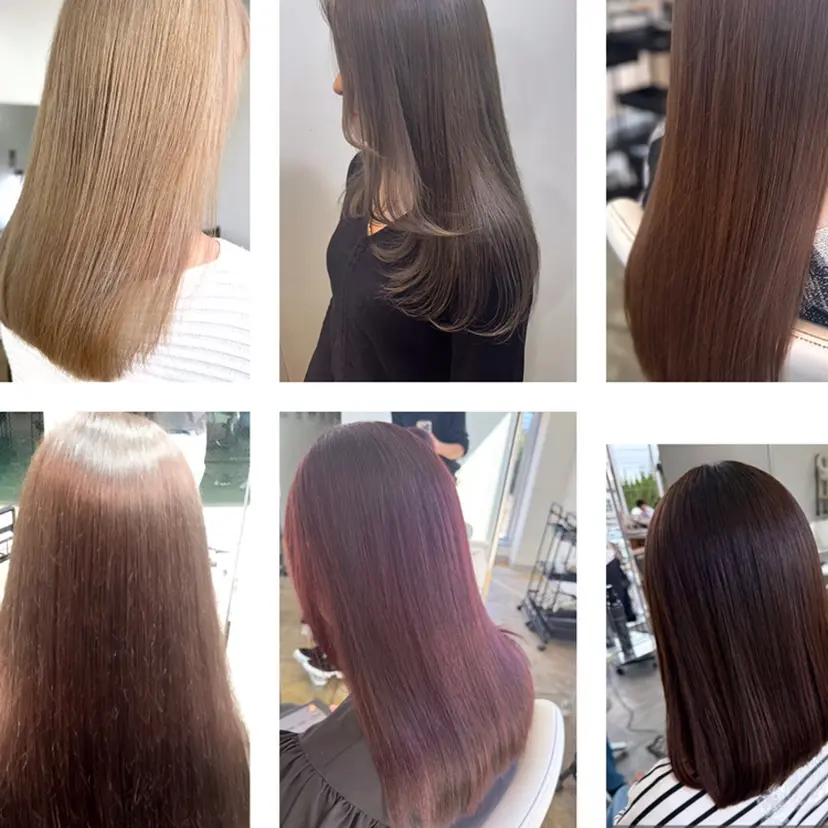 阪本 正美の掲載