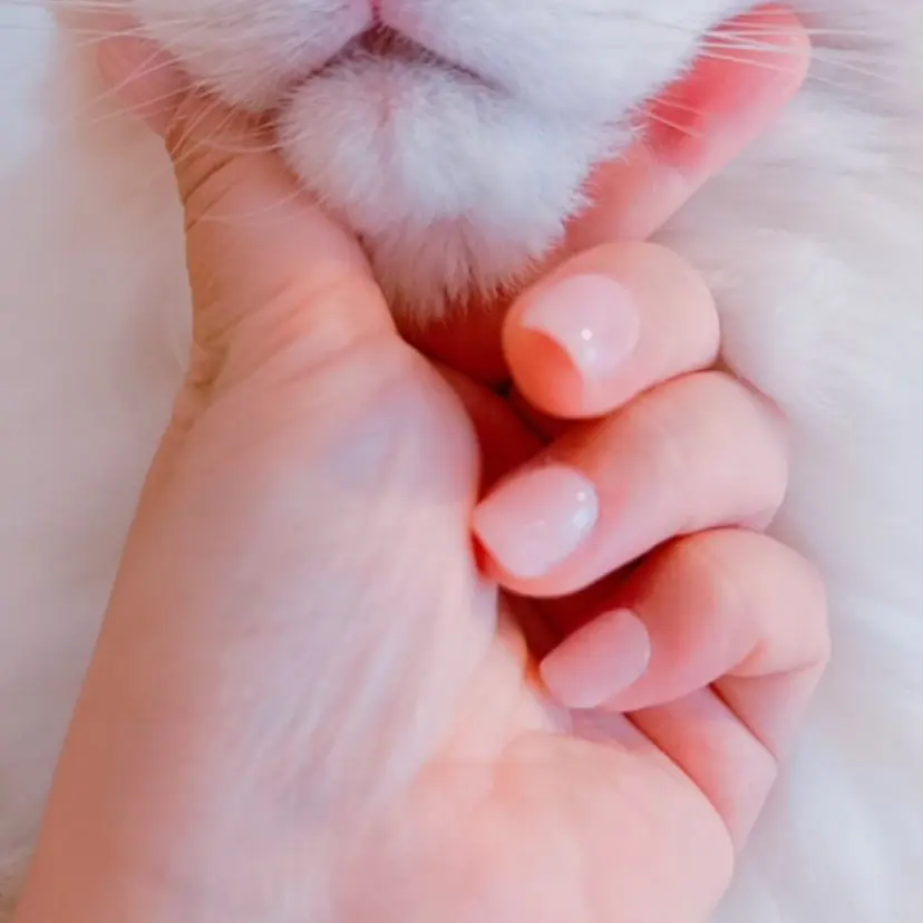 大西 寛子の掲載