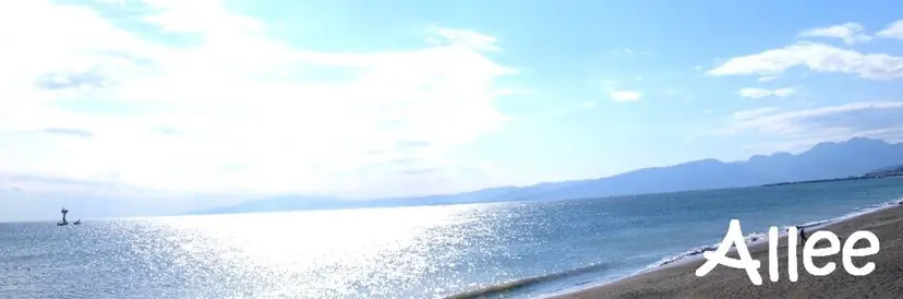 Allee Chinatsuの掲載