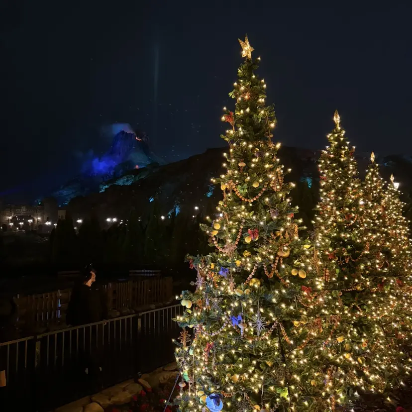 オタク美容師🛍/ 酸性ストレート/艶髪の掲載