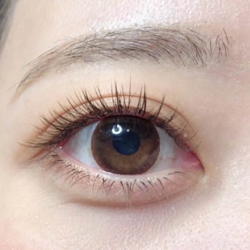 吉田 絢美の掲載