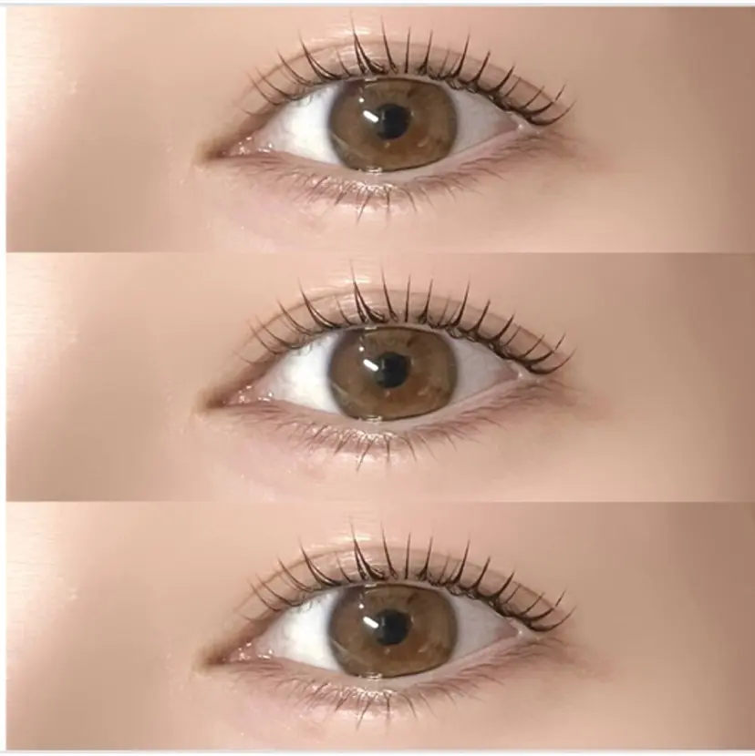 白川 あやかの掲載