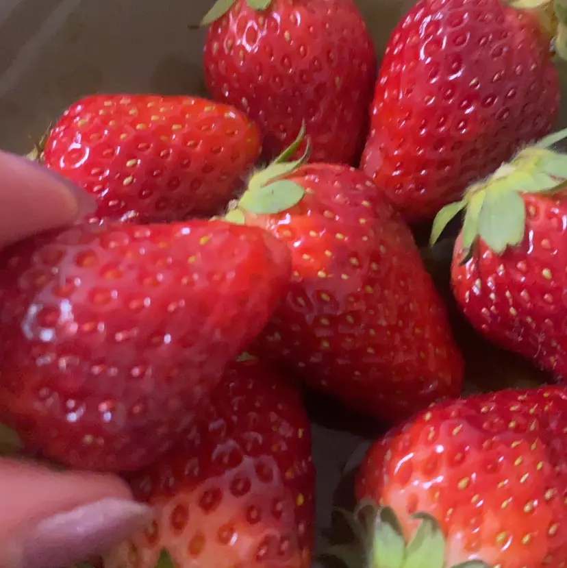 モデル募集中 ✨根本果乃羽の掲載