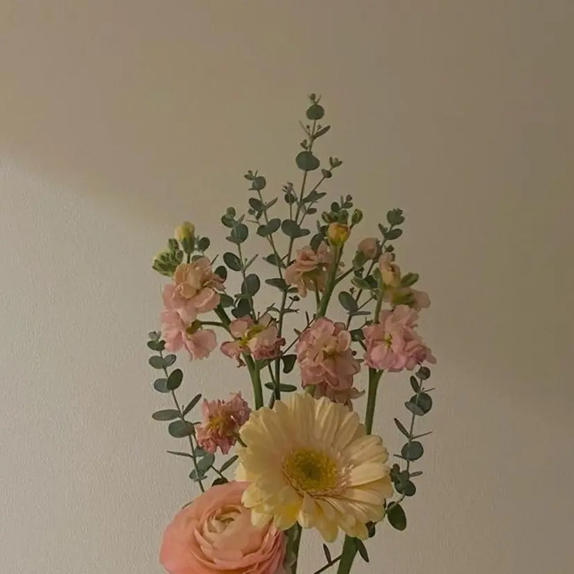 イトウ フウミの掲載