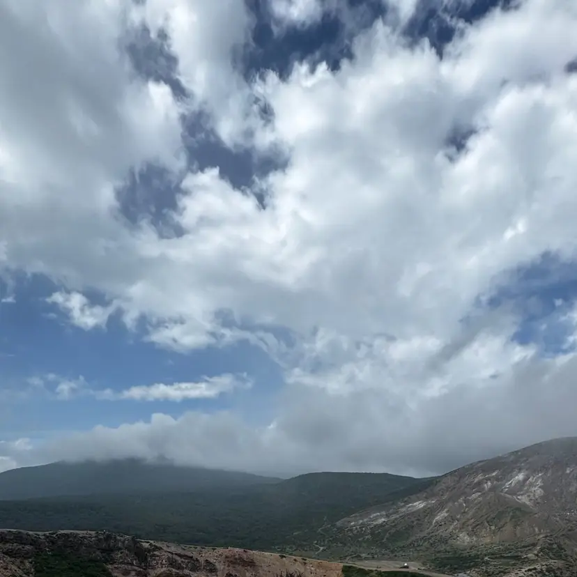 高橋 怜玖／仙台／八乙女の掲載