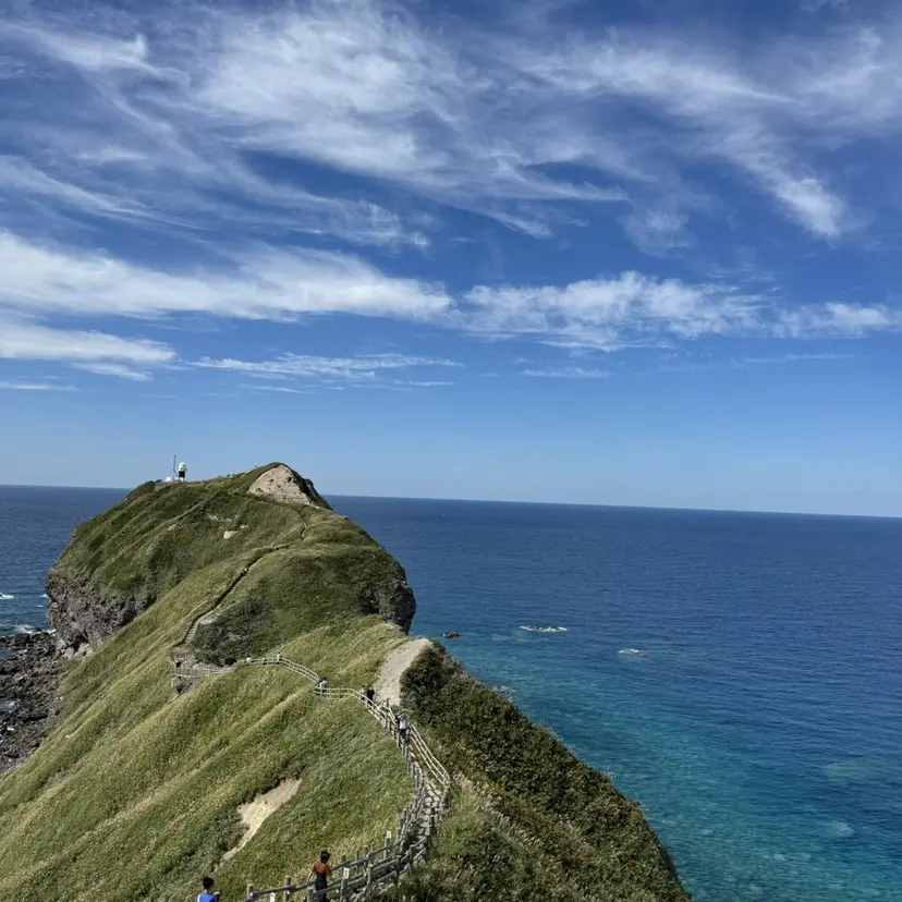 寺田 結月の掲載