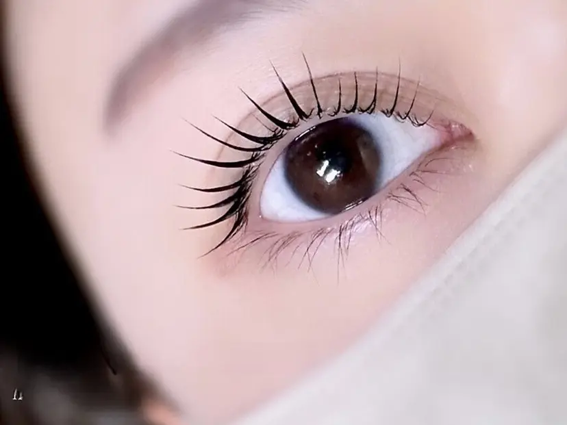 【CIL】 田岡の掲載