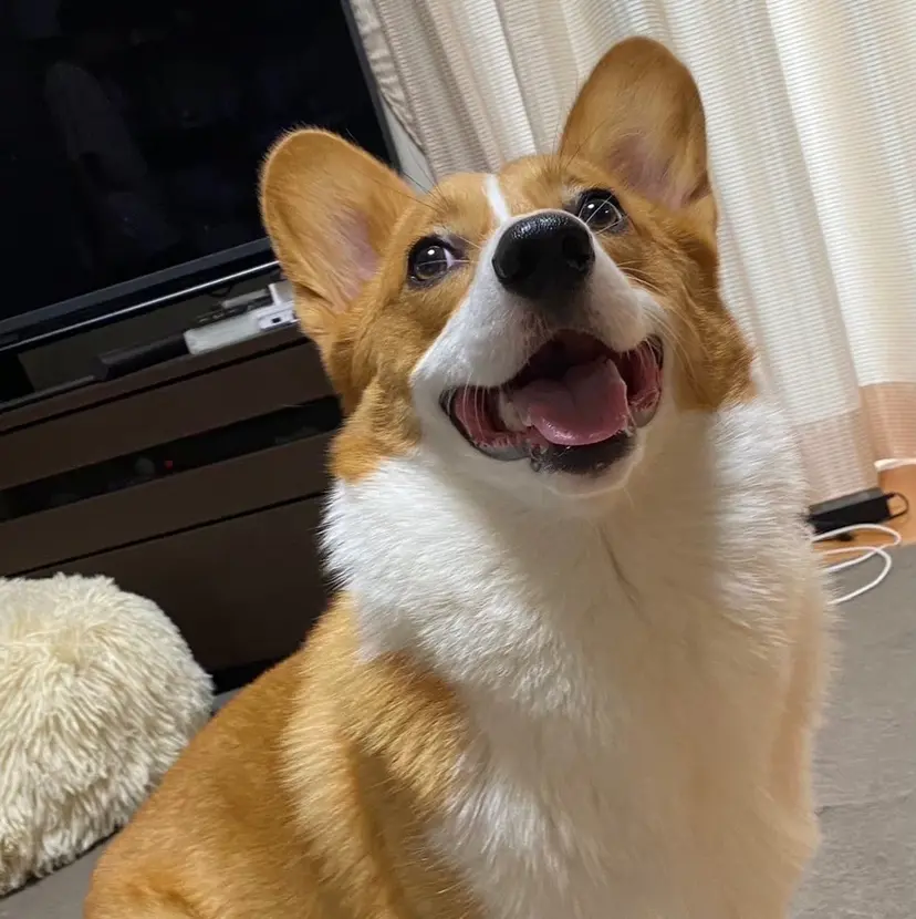 メンズカット募集中 🌷🫧森山彩音の掲載