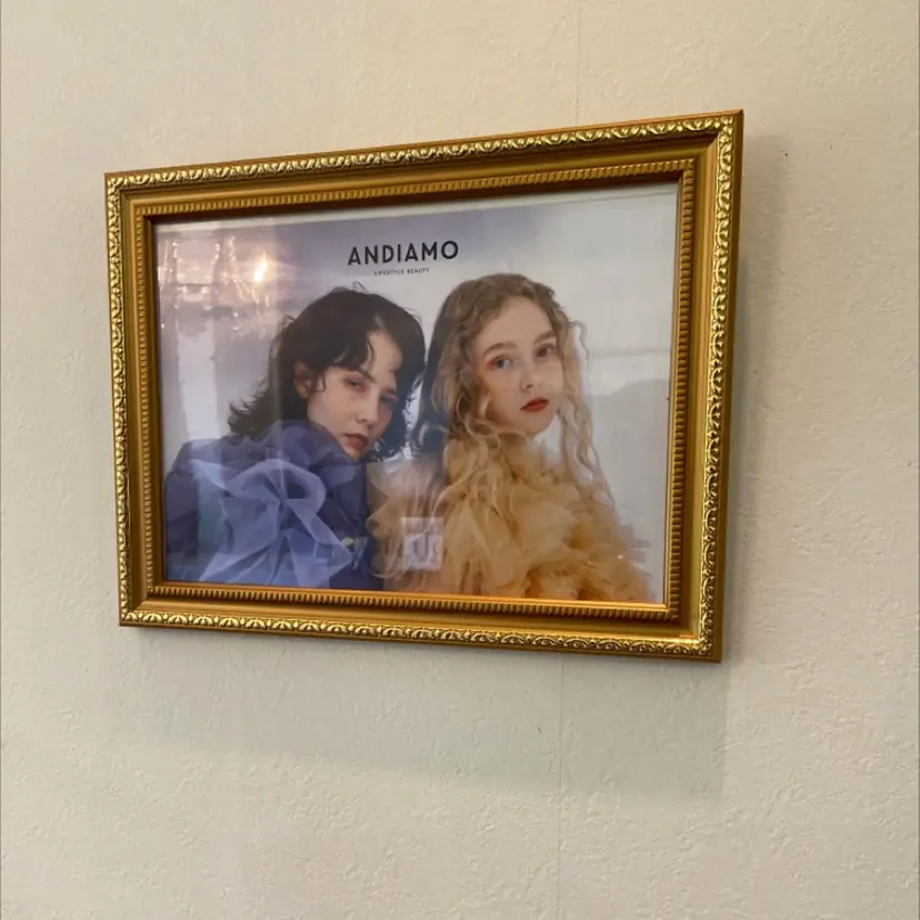 天野 妃菜の掲載