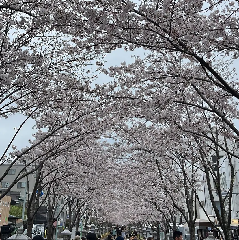 髙橋 義樹の掲載
