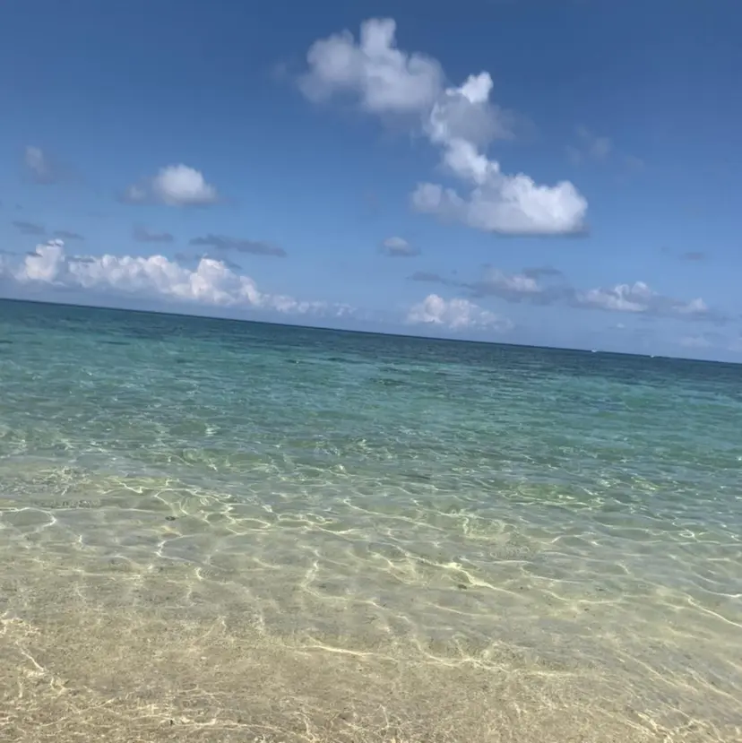 𝘮 𝘢 𝘰 .の掲載