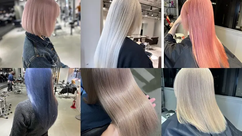 服部 遥斗の掲載