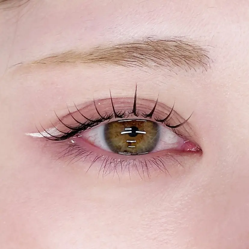 高野 依美の掲載