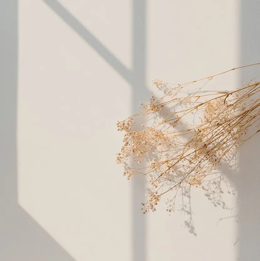 Make's表参道 らら🌼の掲載