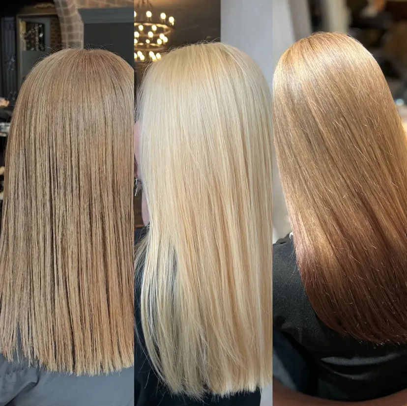 Rina🌿 Re:chaLuの掲載