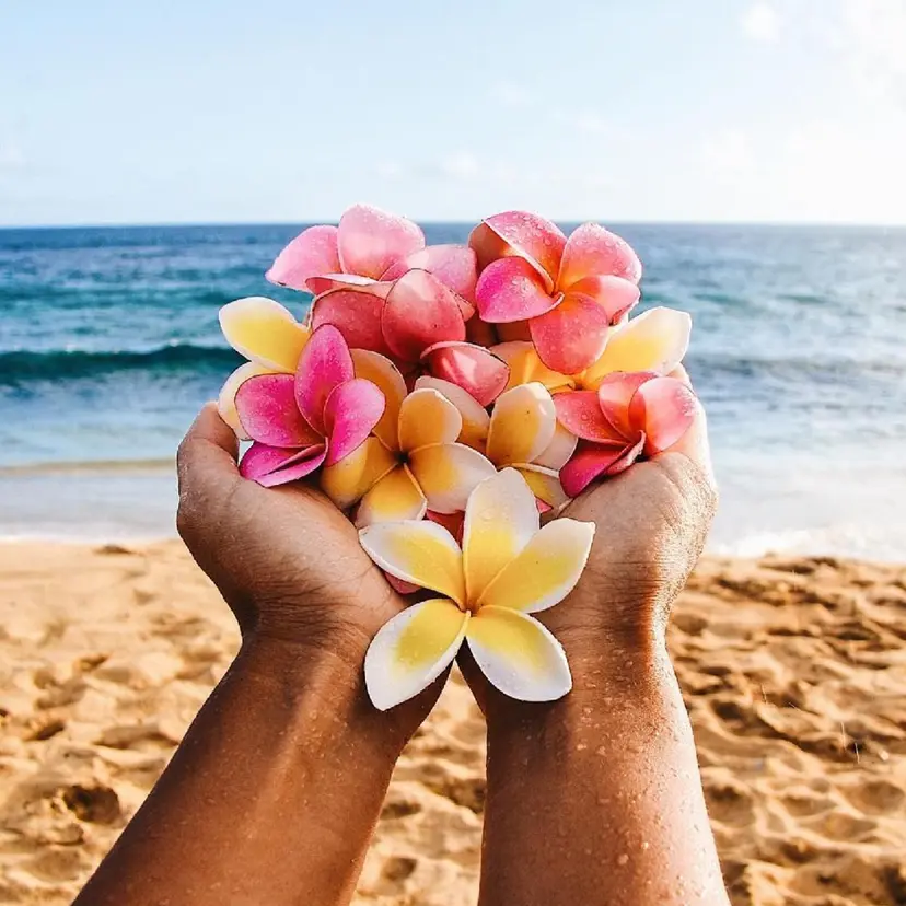 お得💮全メニュー 🎊30%Off🎉の掲載