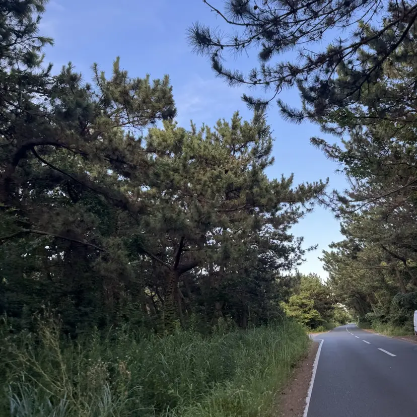 Le freak yumeの掲載