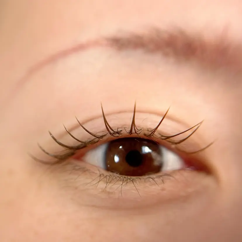 K&E lashe /大垣　まつ毛、眉毛の掲載