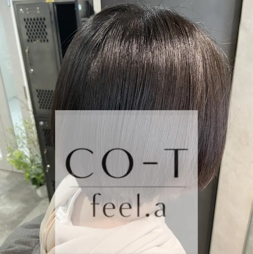 石沢 知康の掲載