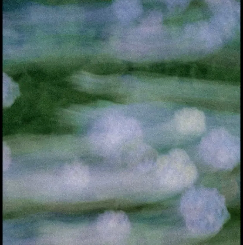 森住 優香の掲載