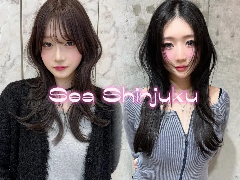 ハッシュカット/ 韓国レイヤーTERUの掲載