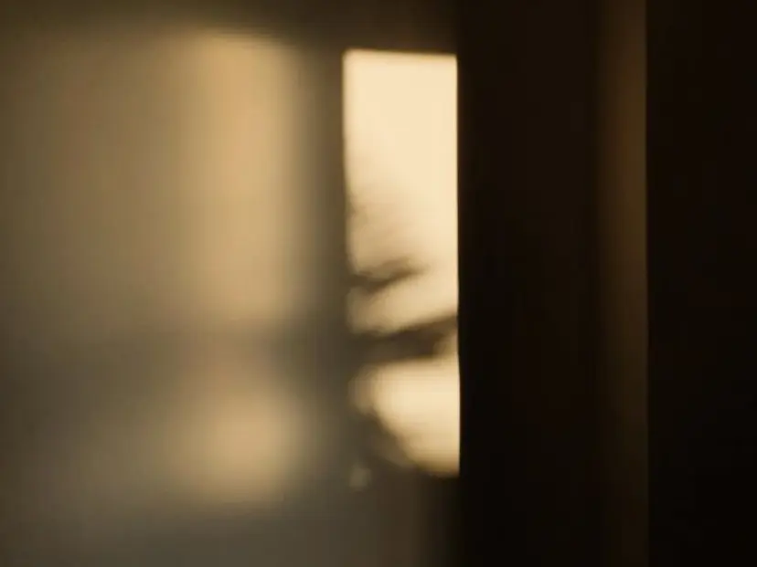 大阪中津 timの掲載