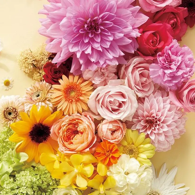 ジェルネイル HANAHANAの掲載