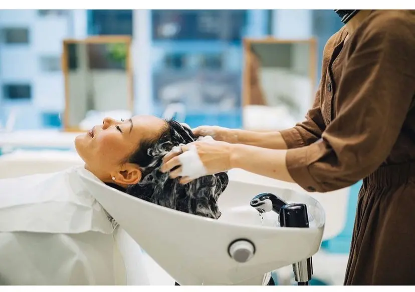 shige shigeの掲載