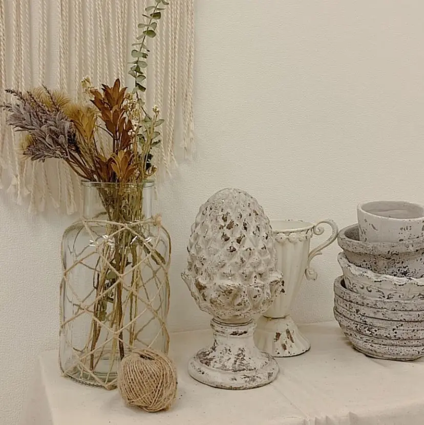 🎀ココア🎀 sunnailの掲載