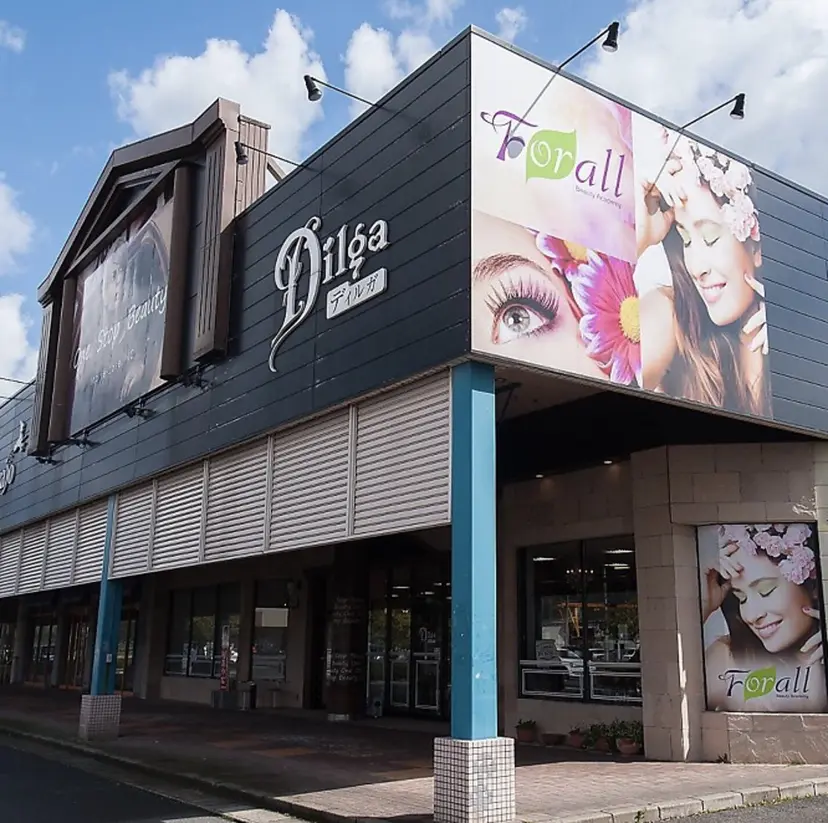 ディルガ ワッセの掲載