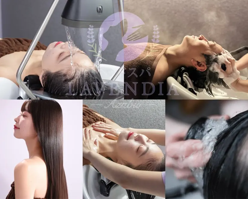 LAVENDIA 麻布の掲載