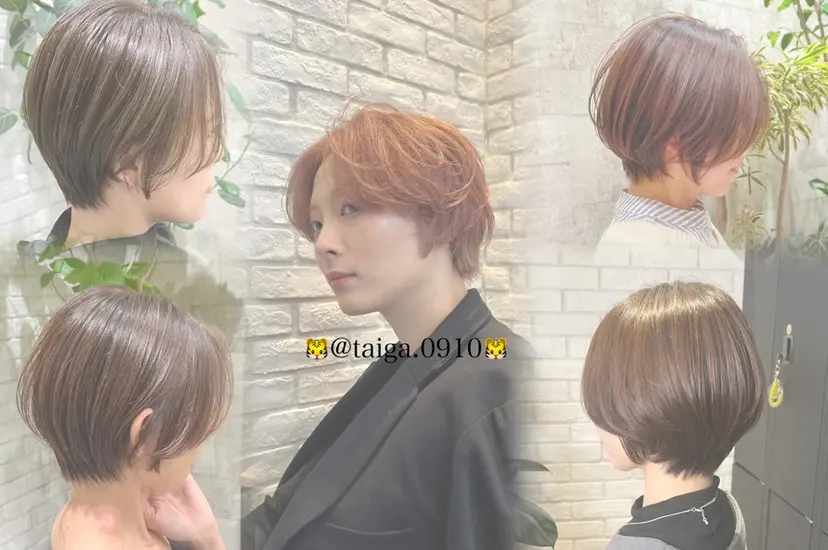 レディースヘア💫 加藤たいが🐯の掲載