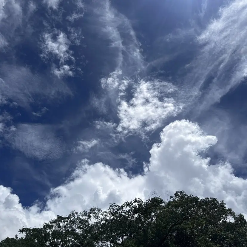 🌻島田 涼生🌻の掲載