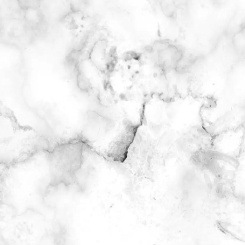 井上 真子の掲載