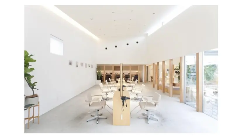 伊藤 世羅の掲載