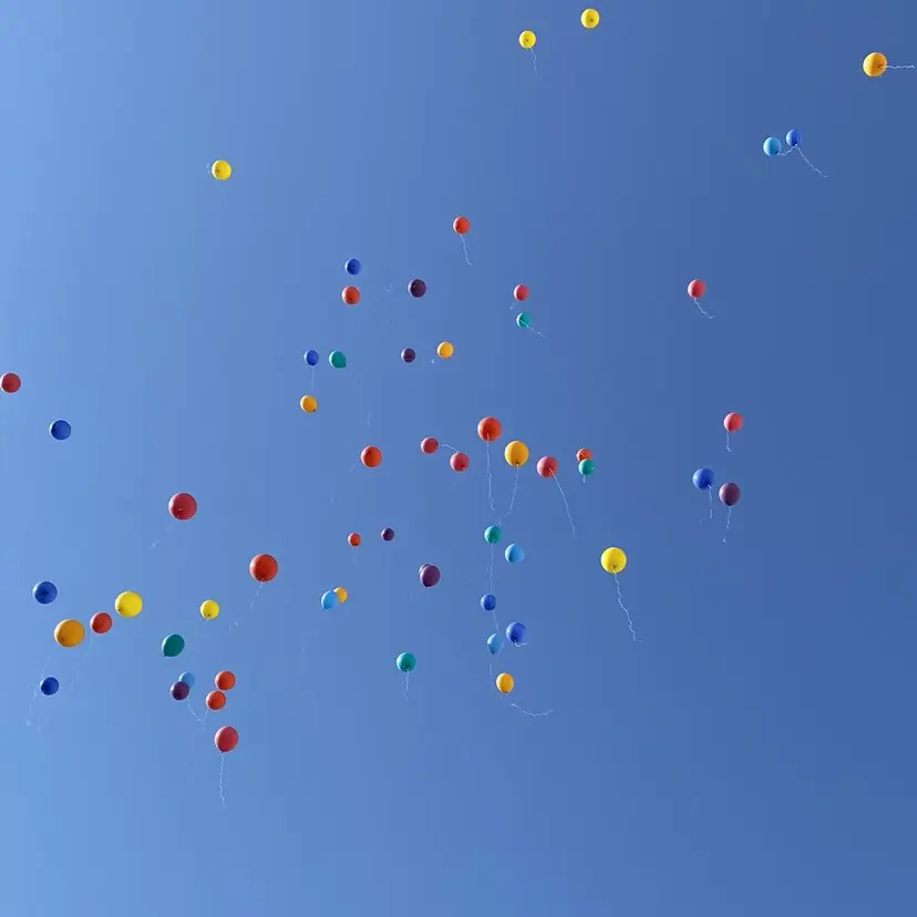 岸田 真由の掲載