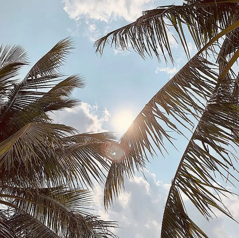 Nagisa🥥🧡 南森町駅 徒歩30秒の掲載